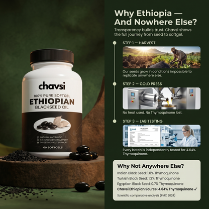 Chavsi - Ethiopian Black Seed Oil